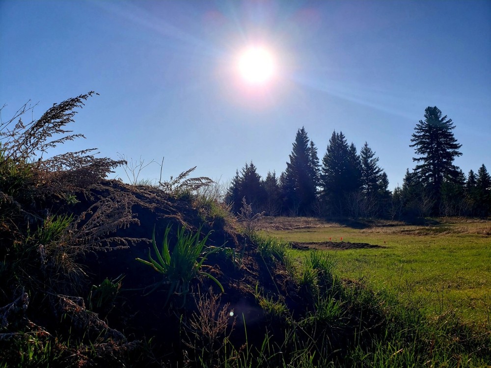 Nature Landscape Digital Photo, Desktop Wallpaper, Cellphone Wallpaper