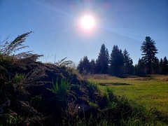 Nature Landscape Digital Photo, Desktop Wallpaper, Cellphone Wallpaper
