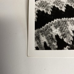 Jerry Garcia Photo 1967 11 x 14” Grant Jacobs Black White Stamped Monterey Pop