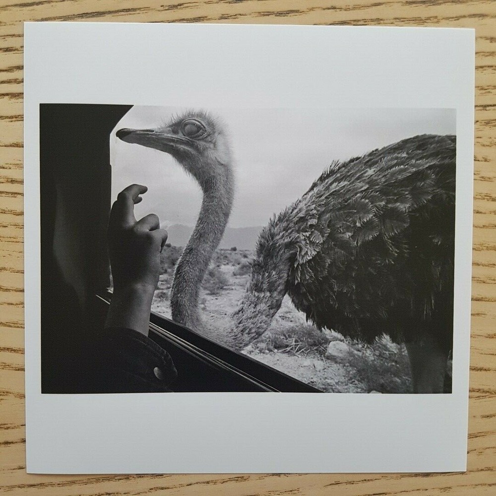 MICHA-BAR AM – SIGNED PHOTO – MAGNUM SQUARE PRINT