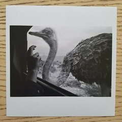 MICHA-BAR AM – SIGNED PHOTO – MAGNUM SQUARE PRINT