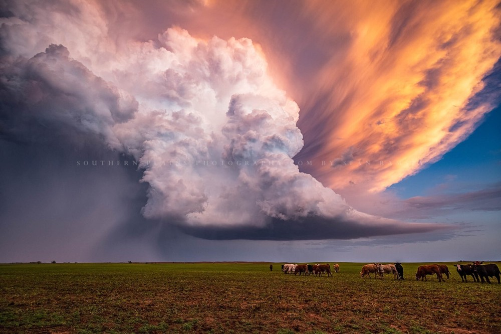 Storm Photography Print – Picture of Supercell Thunderstorm Over Field in Kansas