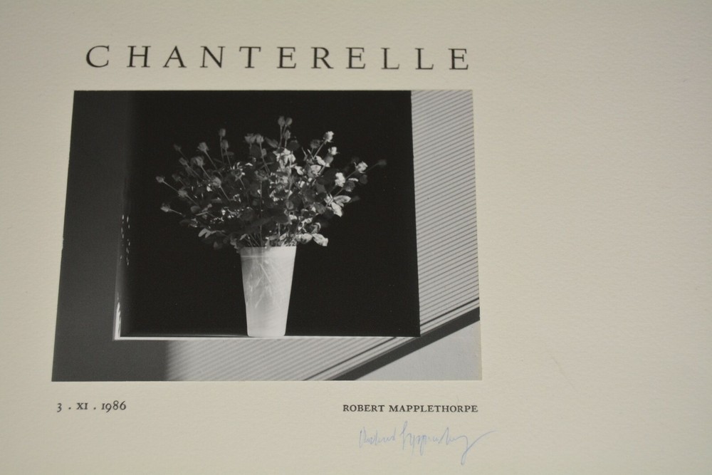 Robert Mapplethorpe SIGNED Untitled (Still Life of Vase and Flowers) Chanterelle