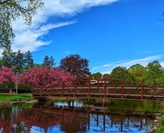 MH Nature & Landscape Photographs – Flowers Trees Water Landscapes 16×20 Canvas.