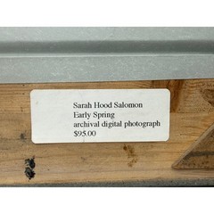Sarah Hood Salomon Early Spring Framed Archival Photo Signed Numbered 3/25 Art