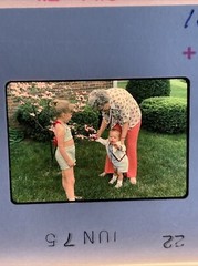 Lot Of 36 1970’s Family Summer Fun Tulips Kids Amateur 35mm Color Slides