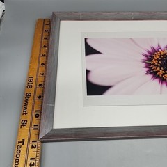 Professionally Frame Flower Photograph Signed Pink Silver 12×17″