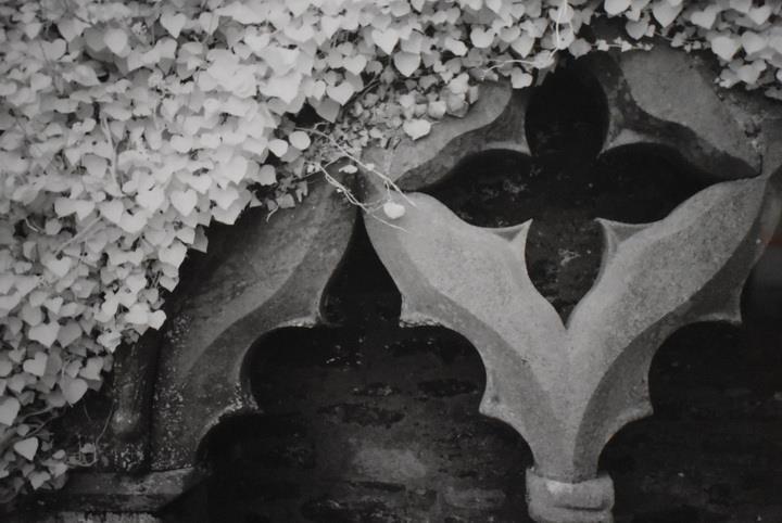 FAB NEIL R. BROWN SIGNED LMTD ED 14/275 BLACK WHITE PHOTO TITLED HIDDEN TREASURE