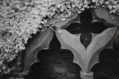 FAB NEIL R. BROWN SIGNED LMTD ED 14/275 BLACK WHITE PHOTO TITLED HIDDEN TREASURE