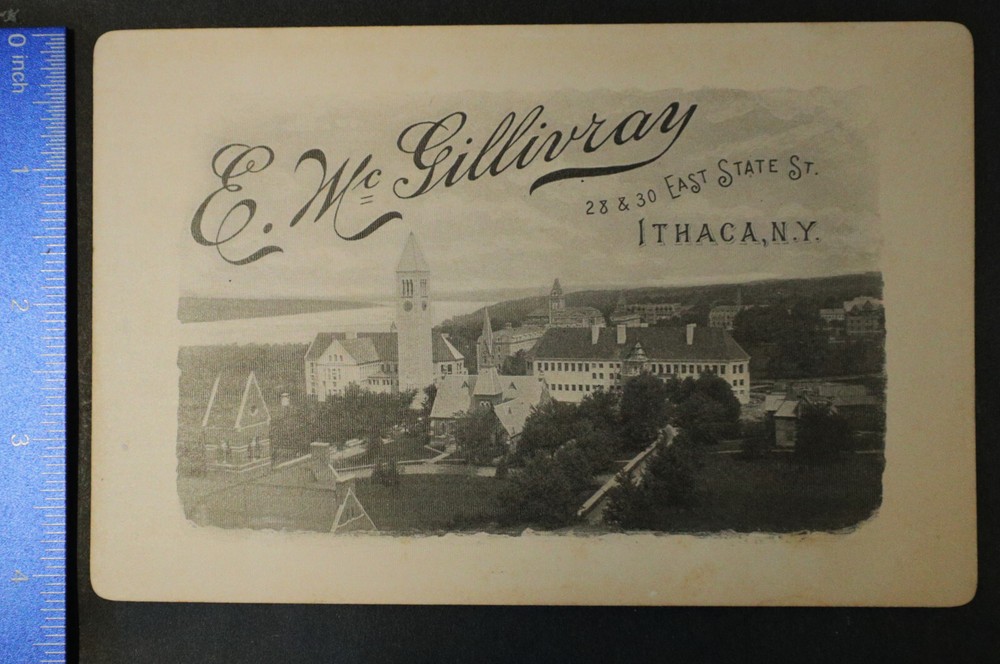 Cabinet Card, Baby on fur covered chair, E McGillivray, Ithaca, New york