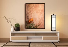 Orange Flower on Adobe House in New Mexico – Home Decor, Wall Art Photography