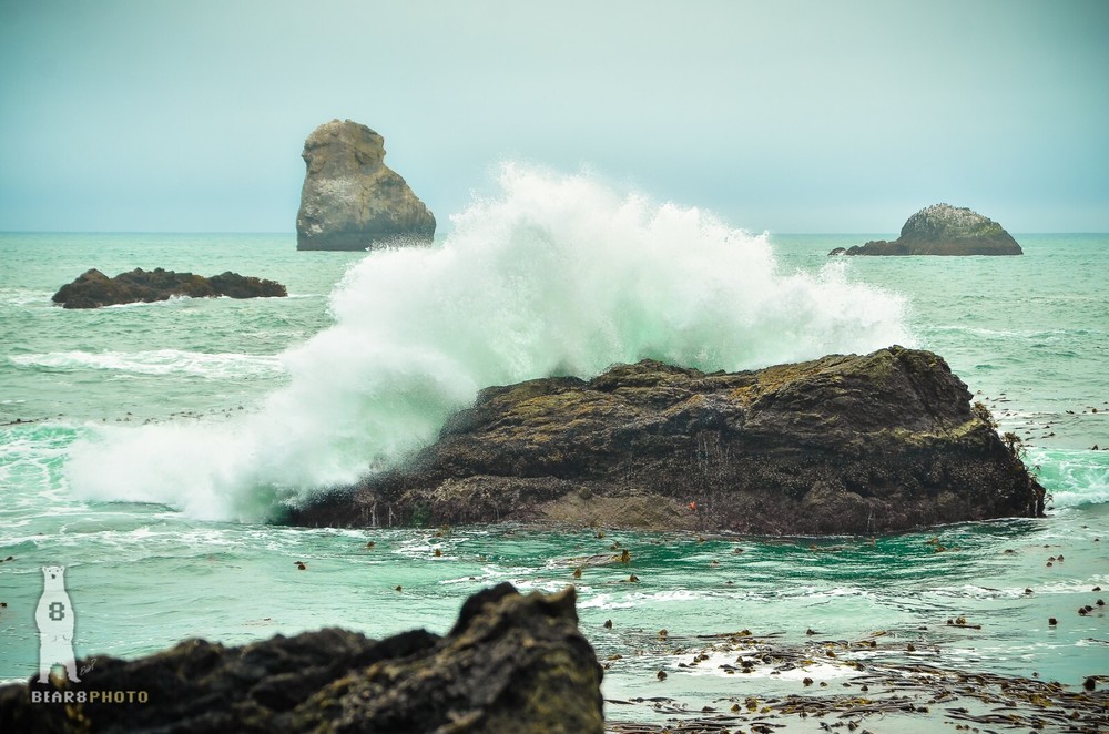 Southern Oregon Coast – Fine Art Photography Prints by Bear8Photo