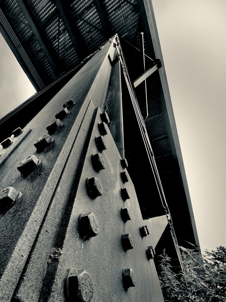 Spine of Steel: A Contemporary Black & White Architectural Photograph
