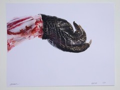 Claw – 17″ x 22″ Fine Art Photography Print – Artistic Food Photography