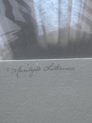 Signed Marilyn Littman Original B&W Photograph Framed Rose Sand Dunes