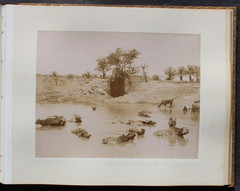BEAUTIFUL PHOTO ALBUM WITH 54 LARGE FORMAT,ORIGINAL PHOTOS,EGYPT,1870-90,RARE