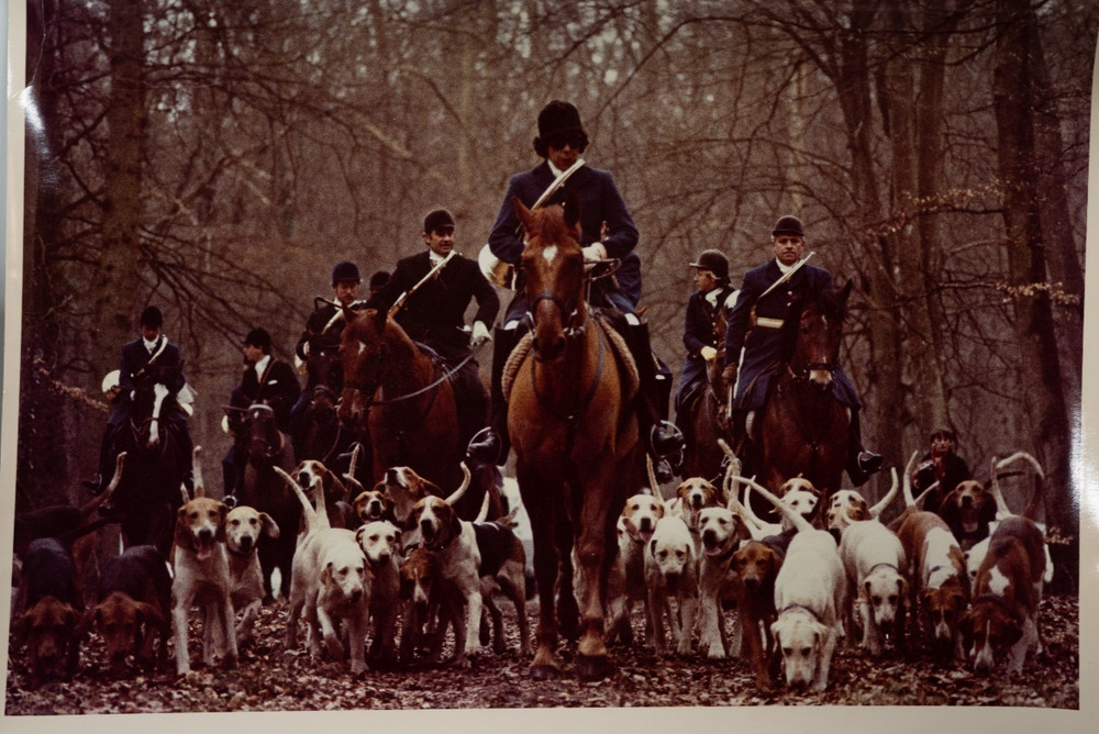 Vintage Analog Photo France Hunting Dogs Equitation 20X30CM 1970