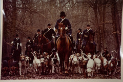 Vintage Analog Photo France Hunting Dogs Equitation 20X30CM 1970