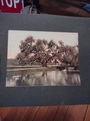 New Orleans Tinted Colored Photographs 1900s – Marx Art Store Detroit Photo Deco