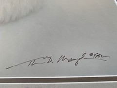 Thomas Mangelsen – signed, limited edition, framed print Snowflake- 1992
