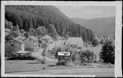 Plate Glass Photo, Negative Black & White 3 1/2×5 1/2in, Hotel – Lake, Longemer,