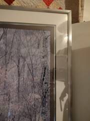 Eliot Porter Print Redbud Tree In Bottom Land Formatting’s Professional Framed