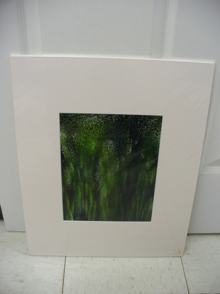 MATTED PHOTOGRAPHY Abstract Blurry Green Black Pixelated By Larry Santucci 16×20