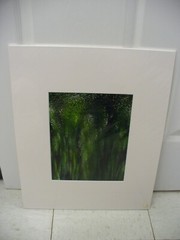 MATTED PHOTOGRAPHY Abstract Blurry Green Black Pixelated By Larry Santucci 16×20