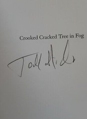 TODD HIDO Nazraeli One Picture Book 60 Crooked Cracked Tree