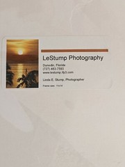 Pelican Photo By Linda E. Stump, Photographer, Profess. Matted, In Clear Plastic