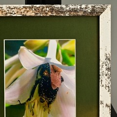 MICHAEL RAY Original Vintage Signed Long Island NY Floral Still Life Photograph
