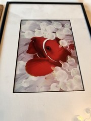 Vintage Clownfish In Bleached White Anemone Framed Photographs Signed Mike Bacon
