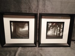 2 Modern Black & White Photography Trees Minimalist Moody 11.25 » Square Frames