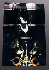 photographic print «Untitled» 8»x12» Deer Head Sunflowers Dark Creepy Surreal