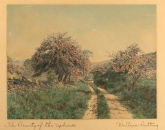 Wallace Nutting Antique 1920’s Hand Colored Photo, The Beauty of the Uplands