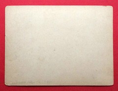 Old Cabinet Photo 14 cm x 18.8 cm Dresden Blasewitz around 1900 Villa (F15545