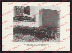 Metropolis Fritz Lang backdrops shooting UFA film science fiction Berlin 1927