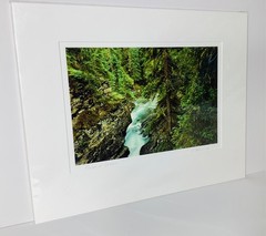 Fine Art Photograph Forest of Dreams Canadian Rockies Landscape Signed & Matted