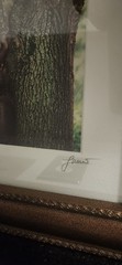 Luciano-Mario Duse Signed Numbered Christ In Tree