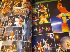 kawaii Kamen joshi Photo book Illustrated reference book 2014
