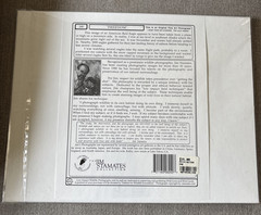 Matted Orginal Fine Art Photo by Jim Stamates “Freedom” Eagle 14”X11” Paperwork