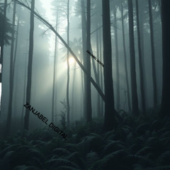 4 Digital Image Picture Wallpaper Background Desktop AI Art Rain Forest