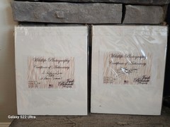 Yellow Tiger, White Tiger, set of 2, matted w/cert of authenticity, wildlife
