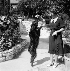 PHOTO NEGATIVE, pretty woman w sweet dog, unusual, 1930’s