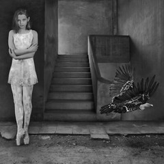 Fine Art BW Photograph Signed Ltd Edition Ballerina & Vulture SURREALISM COA NEW
