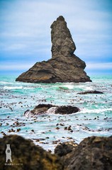 Southern Oregon Coast Fine Art Photography Prints by Bear8Photo