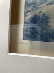 Emulsion Transfer Film Polaroid Art Photo Chianti #1 Patty Mulligan Framed 2006