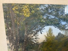 Signed Wallace Nutting 1921 «An Autumn Canopy» Hand Colored Photo ~ Framed