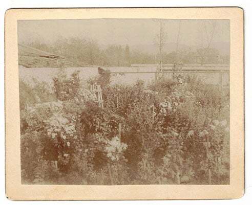 Geo M Marshall / Salt Lake City Garden Photograph 1896