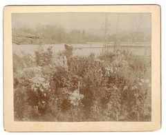 Geo M Marshall / Salt Lake City Garden Photograph 1896